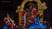 Srirangam Bramorchavam  day 7